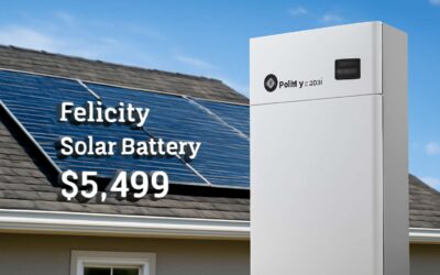 Smart homeowners chase felicity solar battery price for major energy savings